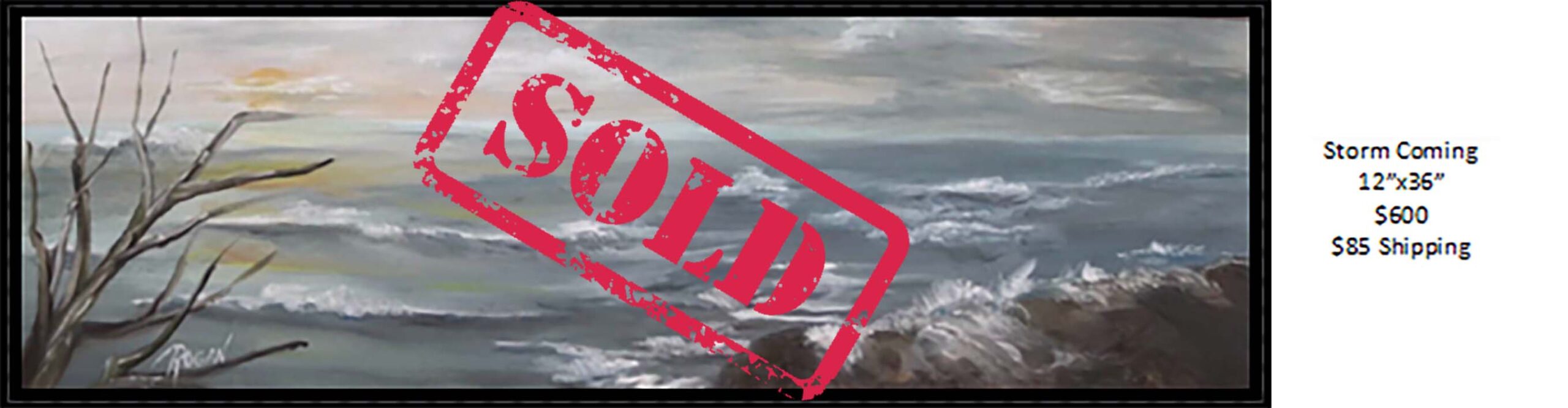 storm coming sold